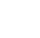 Custom Solutions Icon