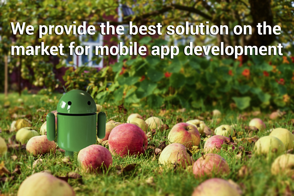 Get Mobile App Developed To Promote Your Business.